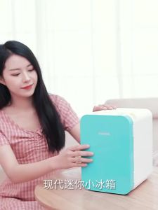 Modern Car Refrigerator 6L22L Light-Duty Vehicle Dual-Use Mini Mini Refrigerator Dormitory Refrigerated Student Portable Case