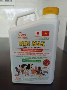 BIG MAX SIÊU TĂNG TRỌNG(gia súc gia cầm)