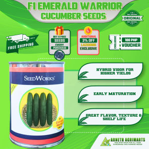 SEEDWORKS F1 EMERALD WARRIOR CUCUMBER SEEDS 70GRAMS (3000 SEEDS)