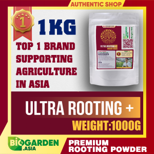 [Super Deal] Ultra Rooting Powder 1KG - Premium Rooting Powder from Biogarden
