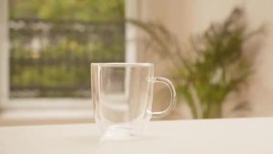 Bodum Coffee Cup Double Walled Glass Cups Mugs for Cappuccino Latte Espresso microwavable glass cup hot drinks milk tea water cup home bar cold drinks wine beer beverages juice cup