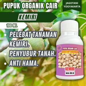 Pupuk Organik Cair Untuk Kemiri 100 Ml Agar Berbuah Lebat Dan Tumbuh Subur By Jagotani Yogyakarta