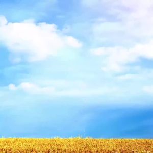 4G จอภาพพลังงานแสงอาทิตย์ไม่มีไฟฟ้าไม่มีกล้องตาข่าย 360 ศัพท์มือถือกลางแจ้งในป่าระยะไกล Home HD Night Vision