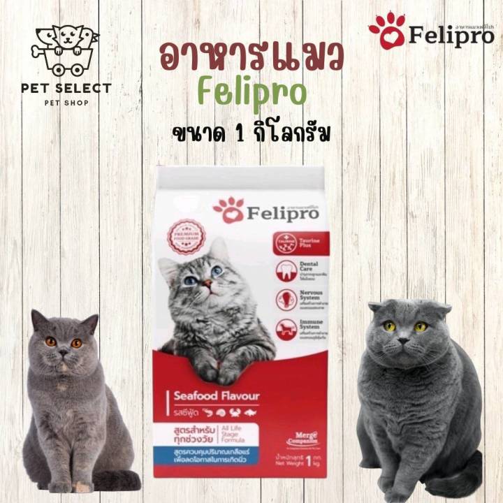 อาหารแมว Felipro สูตรลดการเป็นนิ่ว สำหรับลูกแมวและทุกช่วงวัย