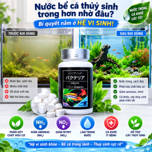 Men Vi Sinh Bể Cá – Vi Sinh Làm Trong Nước Hồ Cá Phân Hủy Chất Hữu Cơ Hỗ Trợ Xử Lý Amoniac Nitrit Khử Mùi Tanh