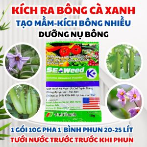 Seaweed K+ Rong Biển Mỹ – Hữu Cơ 100% Giàu Amino Sinh Học Dưỡng Bông Ra Hoa Cà Xanh Chống Rụng Trái Non Cây Khỏe Mạnh Bền Bỉ
