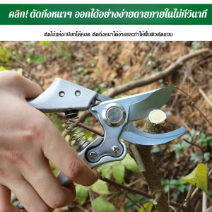 กรรไกรตัดแต่งกิ่งผลไม้ - กรรไกรตัดแต่งกิ่งหนาทรงพลัง กรรไกรตัดแต่งกิ่งคมกริบ การตัดแต่งกิ่งดอกไม้สาขาเนอสเซอรี่