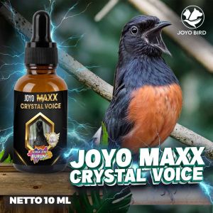 VITAMIN BURUNG SUARA JERNIH | SUARA BURUNG KRISTAL |SUARA BURUNG MERDU | MAXX CRYSTAL VOICE 10 ML
