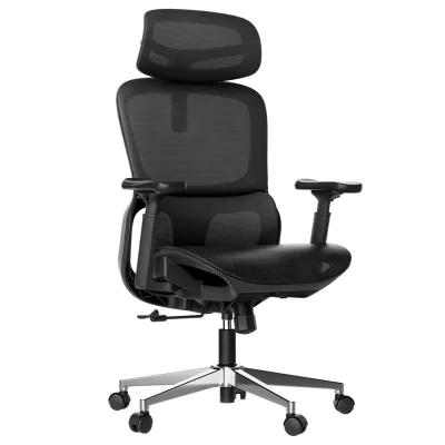 (Ready-Stock)Hbada P2 Ergonomic Office Chair (P2 Pro & P2 Ultra) -with Adjustable Lumbar Adjustable Headrest & Rotation Armrests | Mesh Gaming Chair