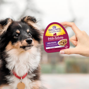 Wellness Complete Health Petite Entrées - Small Breed Grain Free Dog Wet Food 3oz (85g) | 10 Tasty Flavours