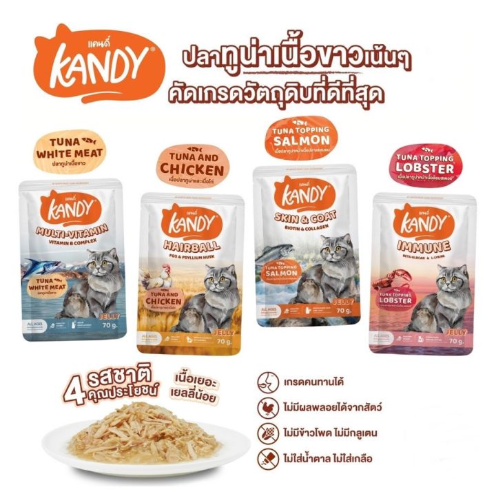 Boqi Factory อาหารเปียกแมว 70g Kandy เสริมภูมิคุ้มกัน ลดขนร่วง อาหารแมว