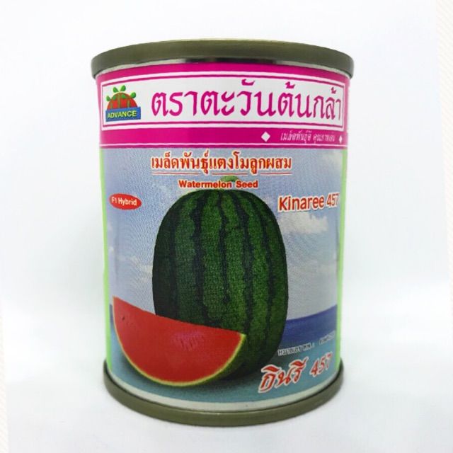 เมล็ดพันธุ์แตงโม กินรี 457 40 กรัม