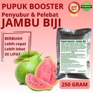 Pupuk Booster Jambu Biji / Obat Booster Jambu Biji / Pupuk Booster Jambu Biji / Pupuk Jambu Biji