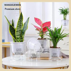 [COD] Lazy Hydroponic Flower Pot Automatic Water-Absorbing Flowerpot Transparent Double Layer Plastic Self Watering Planter Office