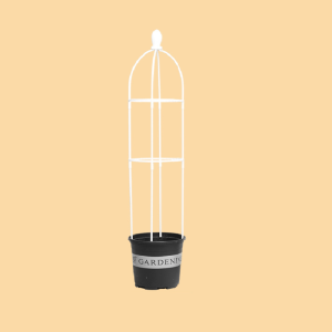 4 Follr Tower Obelisk Garden Trellis Plant Support Plants Support Frame Trellis Climbing Vines Flowers