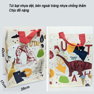 Túi đi chợ siêu thị xếp gọn nhẹ chống thấm bằng bạt nhựa dệt tráng nhựa 35x14-20 cao 33cm. tx134