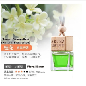 Car Aroma air freshener purifier new fragrances & scents