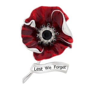 Red Poppies Pins Lapel Brooch Apparels Badges Pins for Women Girls Veterans Day Memorial Day Remembrance Day Gifts