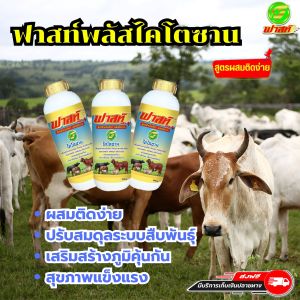 อาหารผสมสำหรับสัตว์ ขนสวยสดใส ลดต้นทุน เพิ่มน้ำหนัก ปรับสมดุลของฮอร์โมน ไคโตซานสัตว์ฟาสท์พลัส ฝาสีทอง3ขวด เซตการันตี พร้อมจัดส่งภายใน1วัน