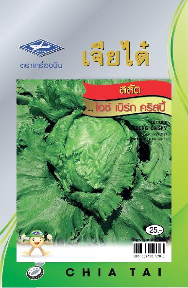 เมล็ดพันธุ์สลัดไอซ์เบิร์ก คริสปี้ เจียไต๋ 5000 เมล็ด