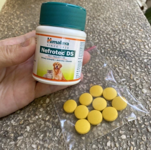 Himalaya Nefrotec DS 60 tablets for cat and dog pets urinary care