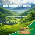 Cao ống Atiso không đường Ladophar Lado Actisô giải độc gan thanh lọc cơ thể H/10 ống. 