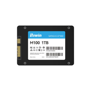 BIWIN M100 SATA SSD 256GB 2.5" Internal SSD Up to 560MB/s Internal Solid State Drives 2.5 Inches SSD SATA III 6Gb/s Laptop and PC Compatible Office Work School