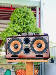 /CAO CẤP/ Loa Di Động Thùng Gỗ Sang Trọng Cao Cấp MTMAX DK06 Trang Bị 2 Bass 20 Và 2 Treble Cho Công Công Suất Mạnh Mẽ Đầy Đủ Kết Nối Bluetooth HDMI Optical Cổng Guitar Cổng Micro TF