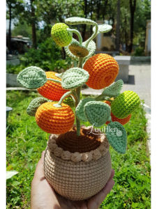 Chậu cây móc len handmade chậu cây quất / quýt cảnh– quà tặng decor để bàn xinh xắn | LuuHienYarn