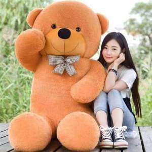 Victory 40cm60cm80cm，100cm，120cm，180cm New lovely Teddy bear Stuffed Toys Sleeping pillow Cushion