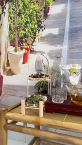 สำหรับคุณ Trà túi lọc mâm xôi rừng tự nhiên - Tiệm Trà Tri Kỷ - Mua 60 gói tặng túi bột xông Nước trà chè tea ！