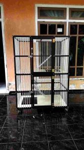 kandang kucing alumunium jumbo murah ukuran PxLxT 90x60x120