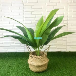 Pohon Plastik Tanaman Artificial Daun Kunyit X12 Latex Cover Pot Purun Belly Dekorasi Ruang Tamu Aesthetic