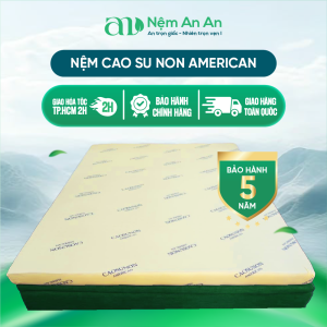 Nệm 10 Phân Cao Su Non American Êm Ái Đầy Đủ Kích Thước