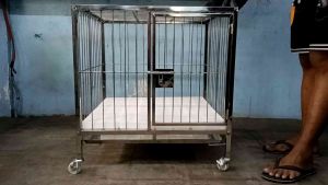 2×2×2 1door framed stainless 304 dog cage