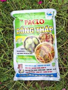 [THIEN THINH SHOP] PACLO ĐỒNG THÁP 15WP 1KG – Paclobutrazol 15% Kích Thích Ra Hoa Phân Hóa Mầm Hoa Chống Đổ Ngã