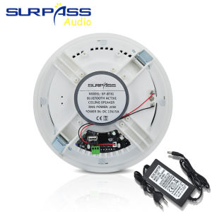 8inch Bluetooth Ceiling Speaker 20W Built In Digital Class D Amplifier Moisture-proof Roof Music Speakers Ceiling Mount System