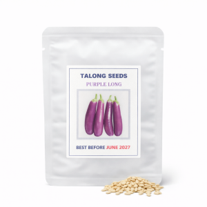 TALONG SEED`S HYBRID (LONG PURPLE EGGPLANT)