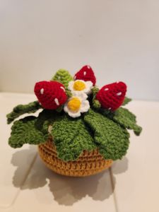 [SG Ready Stock]Teachers Days Gift Finished Product Hand Made Crochet Flowers/Strawberries Potted Plant
