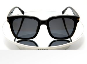 Falubi Sunglasses Horn Frame With Gold List Kacamata Fashion Hitam
