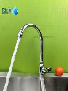 Vòi Rửa Chén Lạnh Rina RN6018 Vòi Chén Bát Lạnh Thau Xi Bóng Ống 20 Cao Cấp Xoay 360 độ Nước Mạnh Xịn