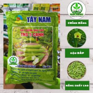 Hạt Giống Đậu Bắp TNS 5 Cạnh TÂY NAM (Gói 500gr) - Trái đẹp xanh lơ nhạt ăn ngon ngọt ít xơ