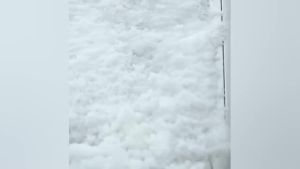 For Toyota Wish 2010-2018 AE20 Magnetic Car Windshield Sunshades Thick Snow Shield Cover Sunshield Protection