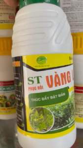Chế Phẩm Vi Sinh ST Phục Hồi Vàng Lá Phòng trừ Gân Xanh Lá Vàng Vàng Lá Green Vàng Lá Sinh Lý Vàng Lá Thối Rễ Vàng Lá Do Vi Khuẩn