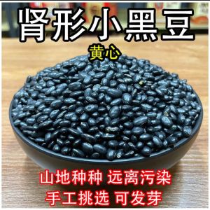 Guangxi Fermented Black Beans – For Steaming Ribs & Local Noodles 广西黑豆豉