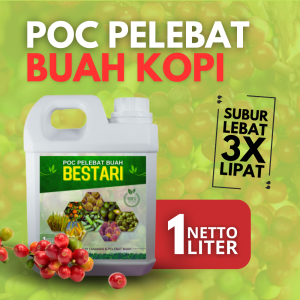Pupuk Pelebat Buah Kopi / Pupuk Kopi Agar Berbuah Lebat / Pupuk Penyubur Daun dan Buah Kopi Lebat