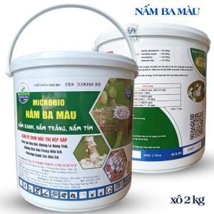 2Kg NẤM 3 MÀU Trừ Rệp Sáp Côn Trùng Sinh Học Không Nóng Trái - Bột Tan