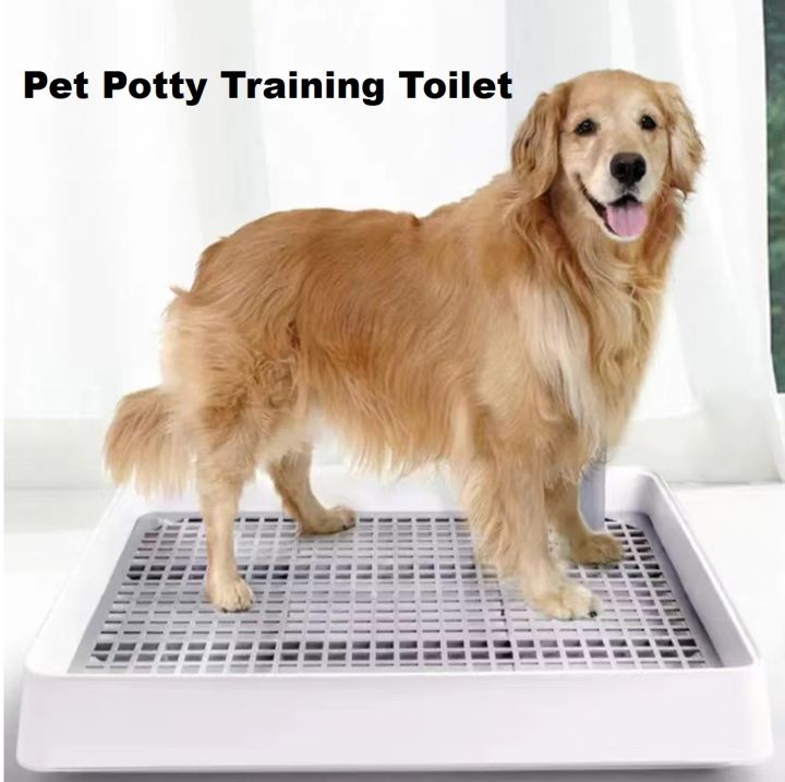 Dog Toilet Tray Dog Potty Training Tray Pets Toilet Tray 狗狗训练厕所/狗尿盆/狗便盆 (小号/大号) | Lazada