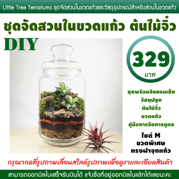 ชุดจัดสวนในขวดแก้ว ต้นไม้จิ๋ว ไซส์ M