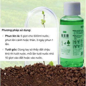Dung Dịch Phân Bón Cây Cảnh Tăng Trưởng Mạnh Phục Hồi Cây Cảnh & Bonsai Sen Đá Hoa Lan– Kích Rễ Kích Nụ 6 Ống